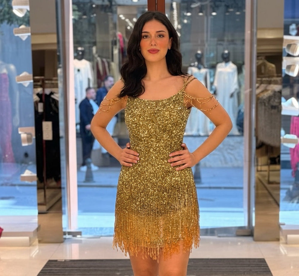 Rochie cu paiete si pietre Ina