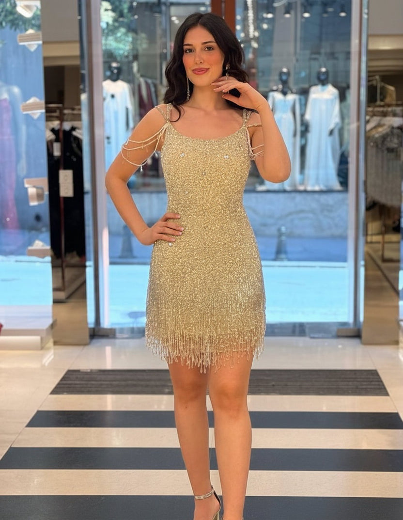 Rochie cu paiete si pietre Ina
